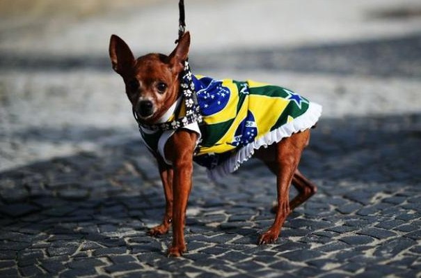 Mais um dia de cidadania
